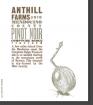 Anthill Farms - Pinot Noir Mendocino County Comptche Ridge Vineyard 2021
