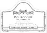 Domaine Hubert Chavy - Bourgogne Blanc Les Femelottes 2021