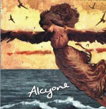 Vinedos de los Vientos - Alcyone NV (500ml) (500ml)